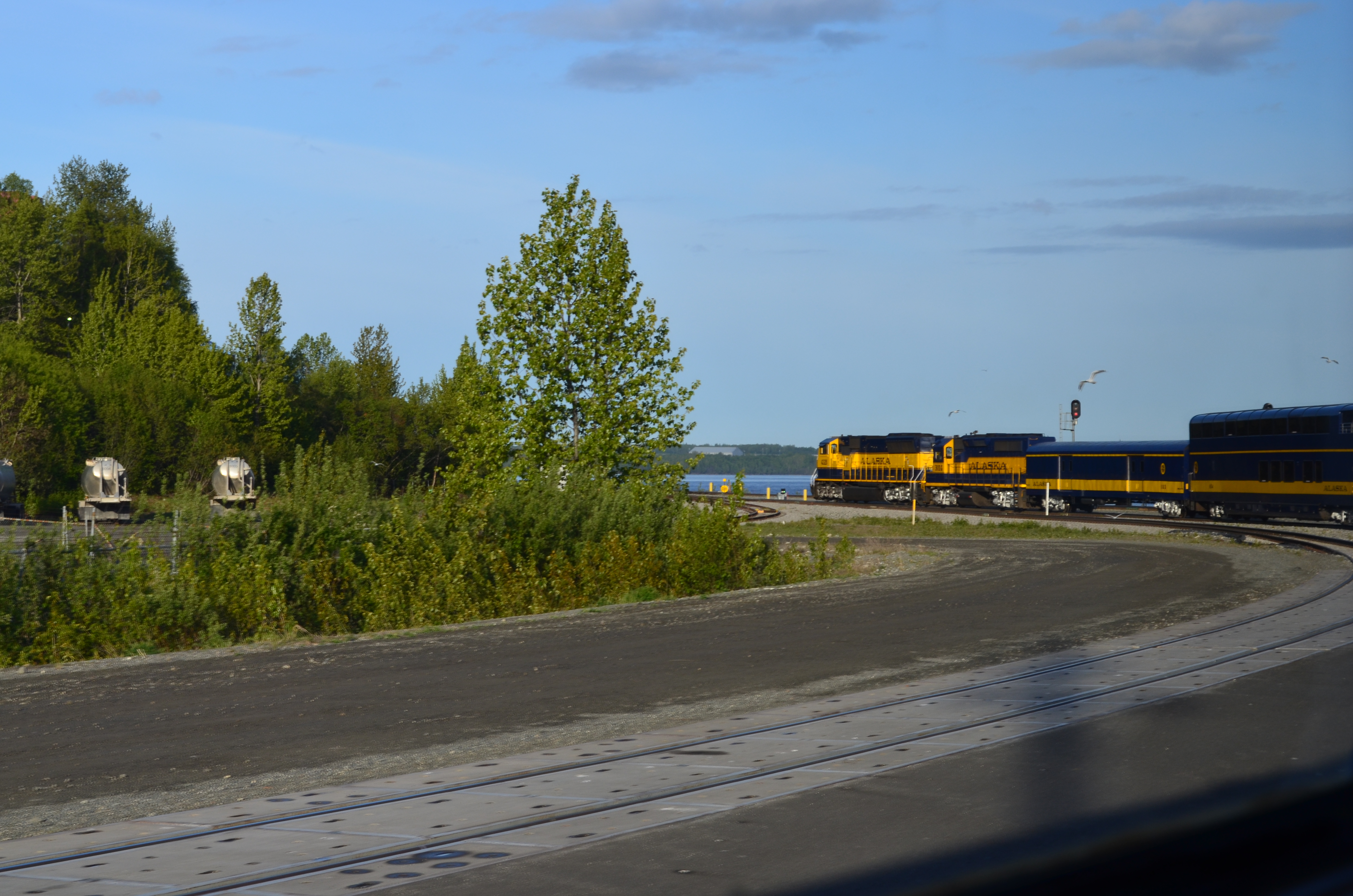 ./2017/08 - Alaska Cruise/05 - Train to Seward/DSC_0370.JPG
